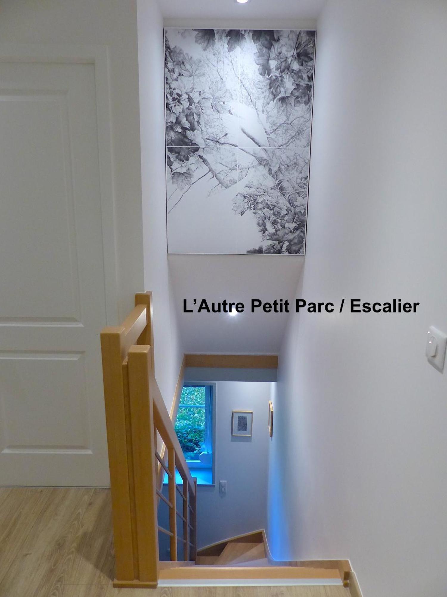 Apartamento Le Petit Parc Colmar Habitación foto